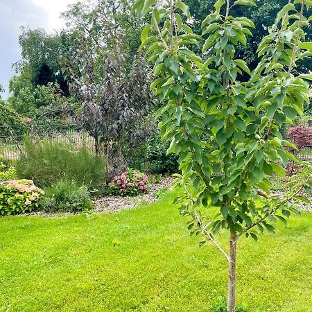 Ferienwohnung Kamrath Mit Wunderschoenem Ausblick نيوروبين المظهر الخارجي الصورة