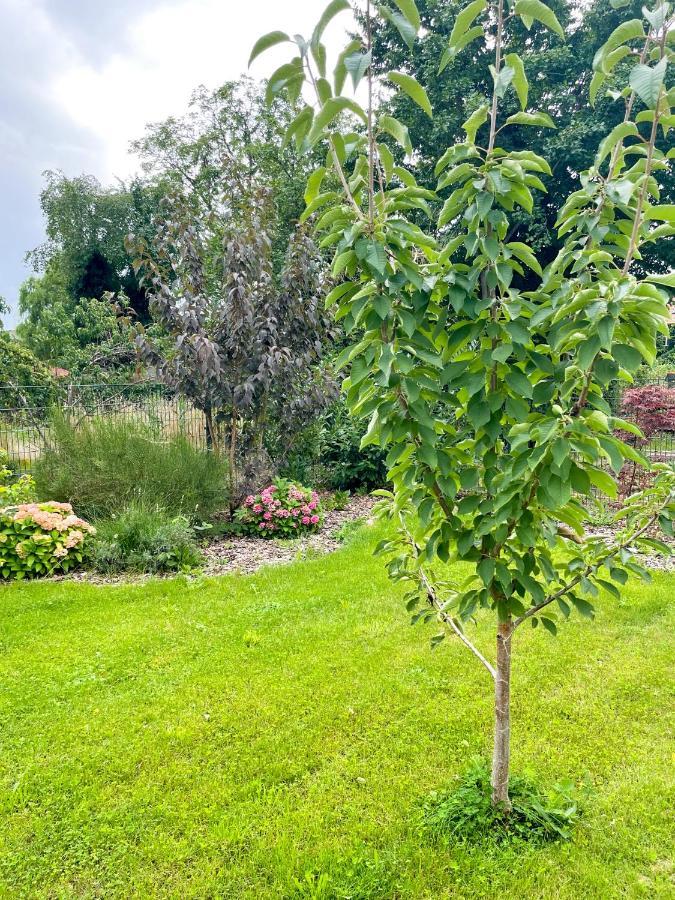 Ferienwohnung Kamrath Mit Wunderschoenem Ausblick نيوروبين المظهر الخارجي الصورة
